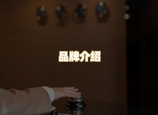 品牌介绍